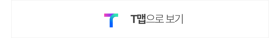 T맵