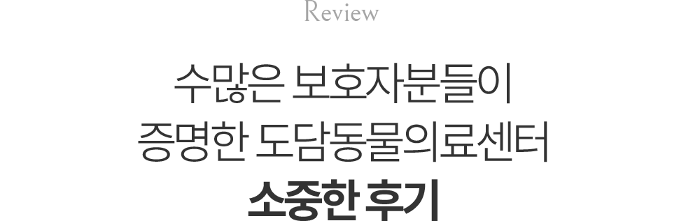 도담동물의료센터 고객후기