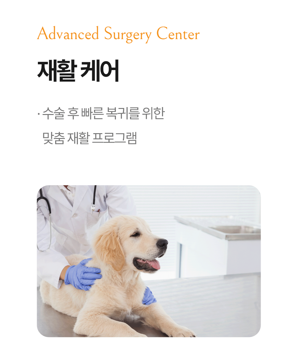 재활 케어
