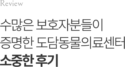 도담동물의료센터 고객후기