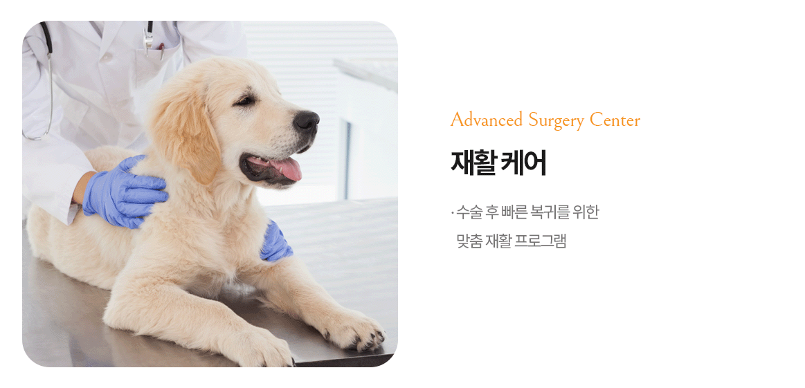 재활 케어